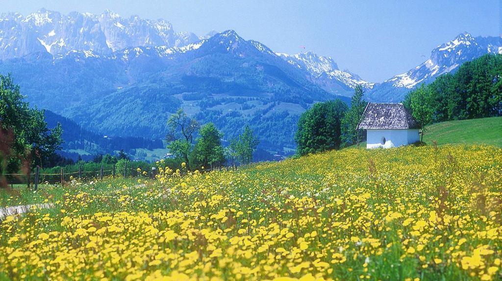 Berg Hotel Weingarten Garni Rimsting Oda fotoğraf